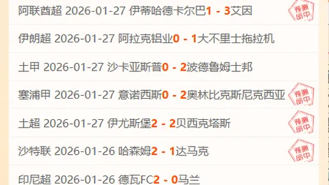 全红婵陈芋汐惊世一跳，日本选手惊恐落泪，现场直击8倍镜再现！